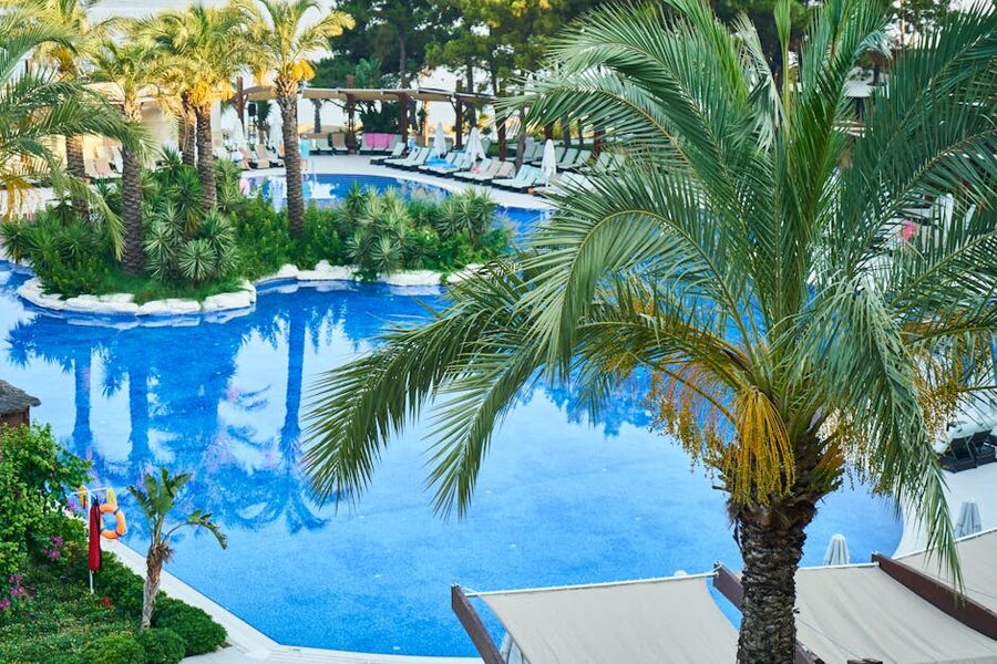 Resort-style pool with palm trees and lounge chairs