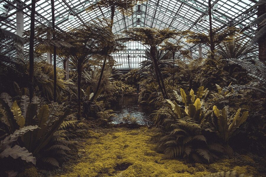 Tropical conservatory with lush plants