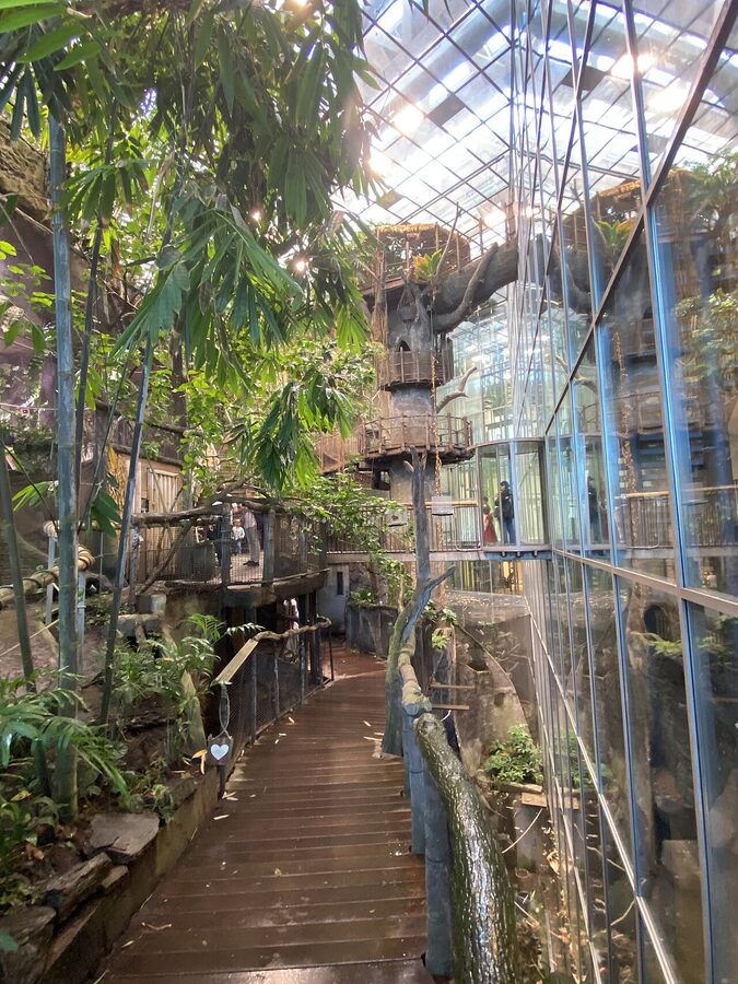 Inside the indoor rainforest exhibit at Universeum Gothenburg