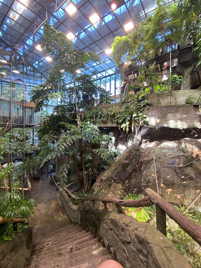 Walking path inside the indoor rainforest Universeum Gothenburg