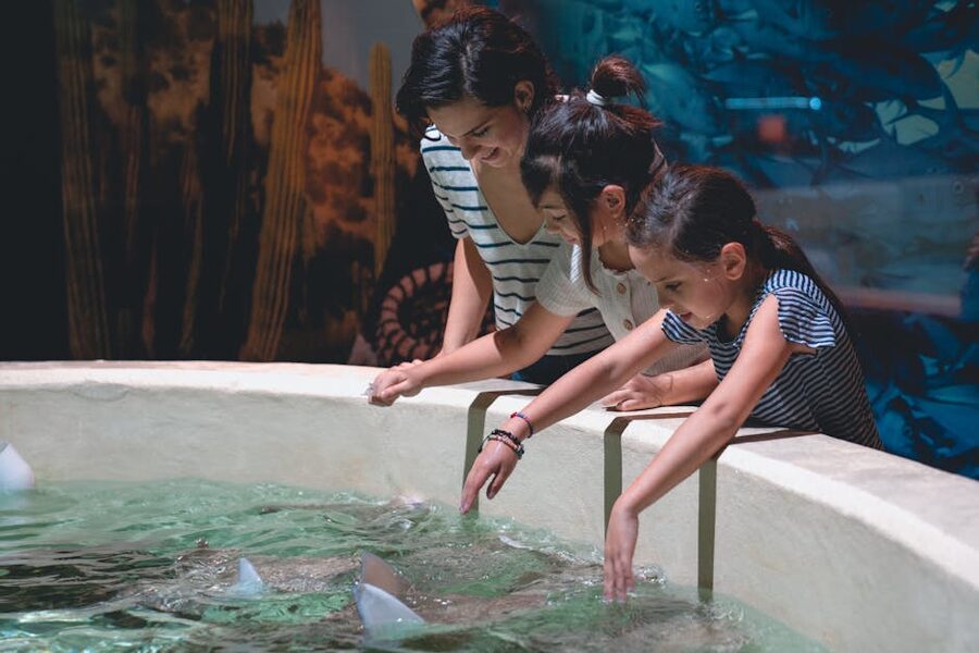 Family at an interactive stingray touch pool in an aquarium