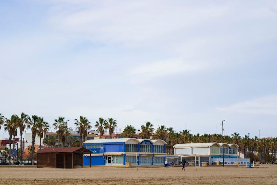 Valencia beach promenade with palm trees and seafront restaurants