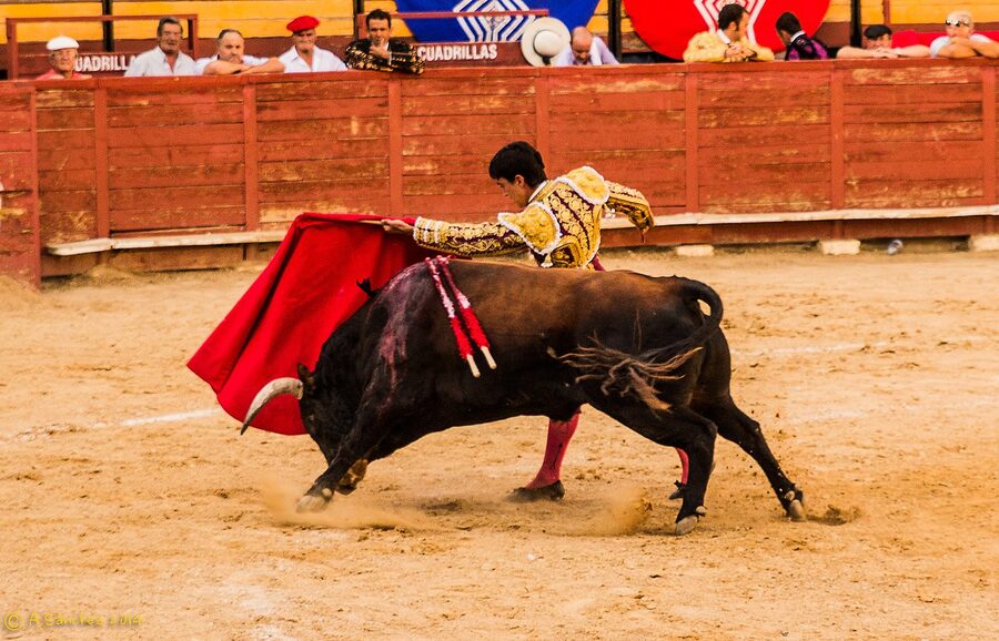 Plaza de Toros Valencia bullring exterior