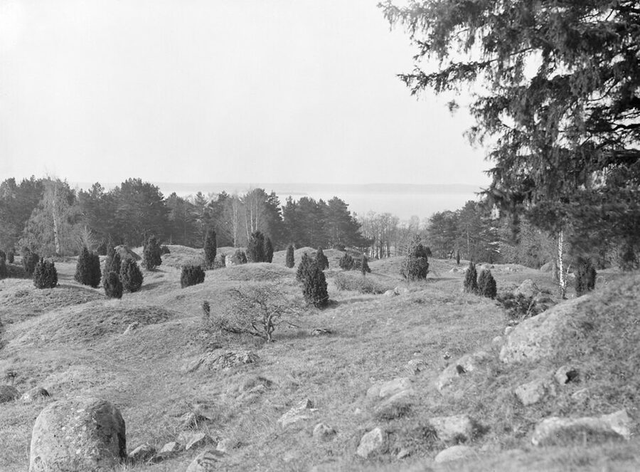 Viking Age grave field at Birka archaeological site Björkö island Sweden