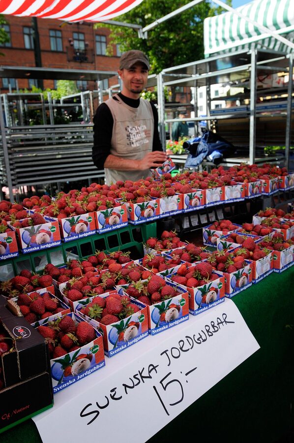 Strawberries on sale at Möllevångstorget market Malmö