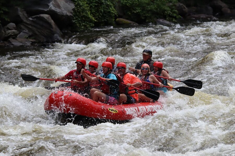 Rafters paddling through river rapids