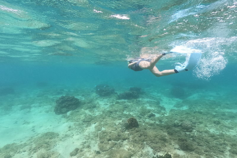 1 Day Snorkel Diver License Course in Okinawa - What the six-hour schedule looks like