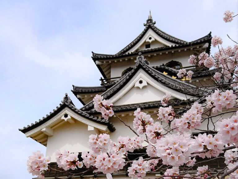 1-Day Tour: Castles & Canals in Hikone & Omi Hachiman (from Nagoya) - Hikone Castle, wood, stairs and views