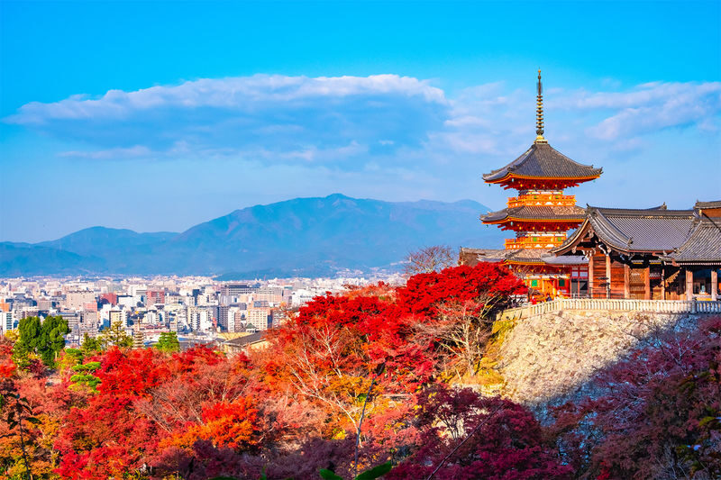 1 Person Group: Meet adorable deer, stroll through ancient capitals: Kyoto, Nara, Osaka Kansai classic panoramic one-day tour - Fushimi Inari’s red gates, on your own schedule