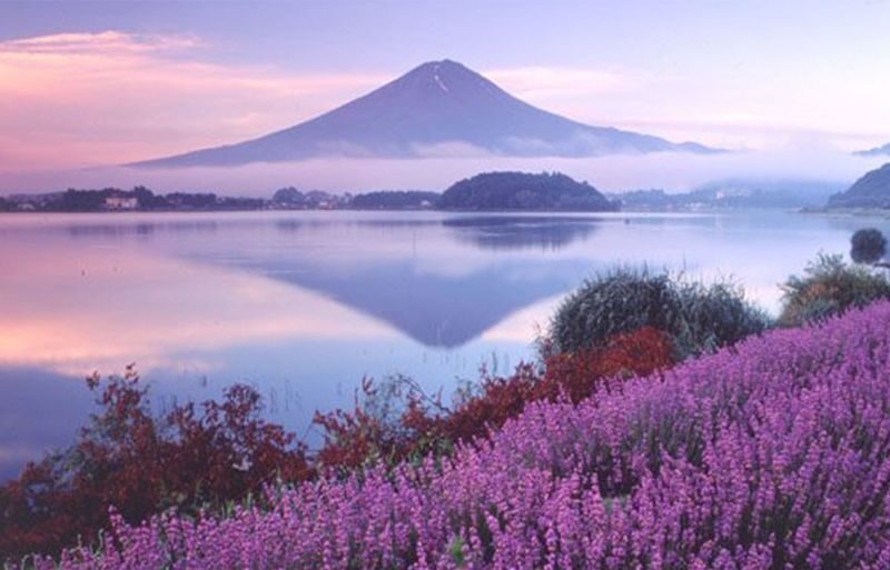 12:30 Departure - Mount Fuji with free dinner set - Kawaguchiko, Oishi Park, Oshino Hakkai, Illumination tour - Kawaguchiko: one of the tour’s core stops