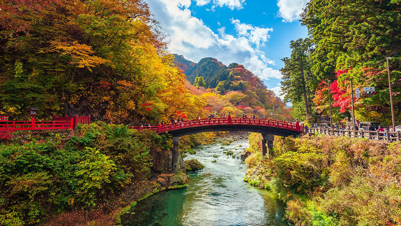 9-person small group Nikko Toshogu Shrine & Irohazaka & Lake Chuzenji One-Day Tour (Hotel pickup and drop-off available) - Toshogu Shrine: carved detail and Tokugawa history