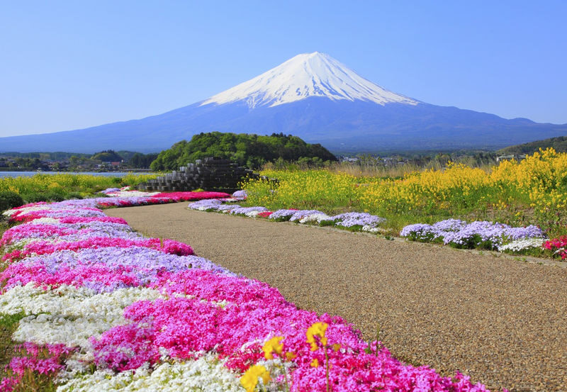 9-person small group tour | Six major photo spots at Mount Fuji | Arakurayama Sengen Park & Hinokawacho Clock Shop & Internet-famous Lawson & Oshino Hakkai & Lake Kawaguchiko & Lake Yamanakako | Departing from Tokyo - Yamanakako: a calm opening beside the water
