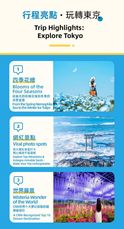 Adachi Flower Garden Night Wisteria & Ibaraki Nemophila Flower Sea Day Trip - Hitachi’s blue hills are the main event