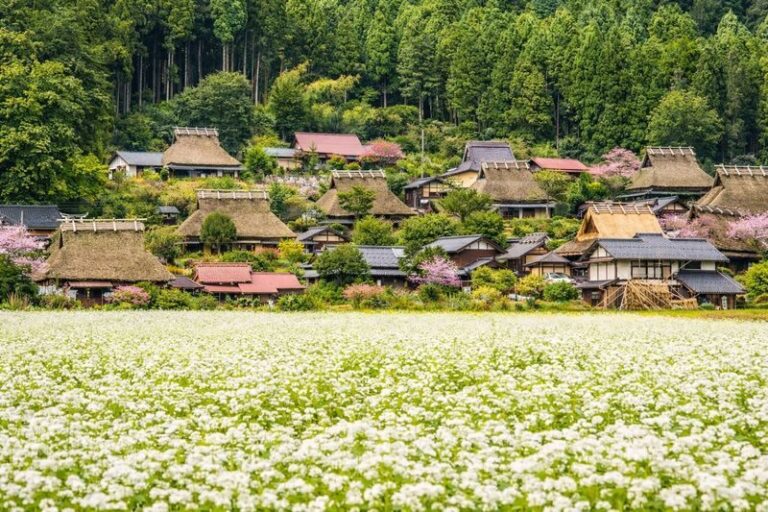 Amanohashidate & Ine Bay Sightseeing Boat & Kyoto Miyama Thatched Village One-Day Tour (Departing from Osaka/Kyoto) - Amanohashidate: a famous view with a playful twist