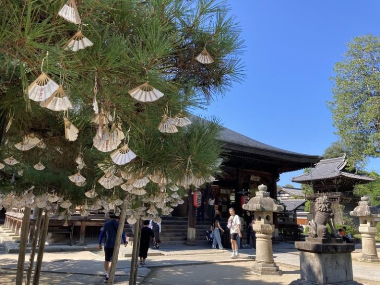 Amanohashidate & Ine Funaya Full-Day Secret Private Tour - What to expect at Amanohashidate