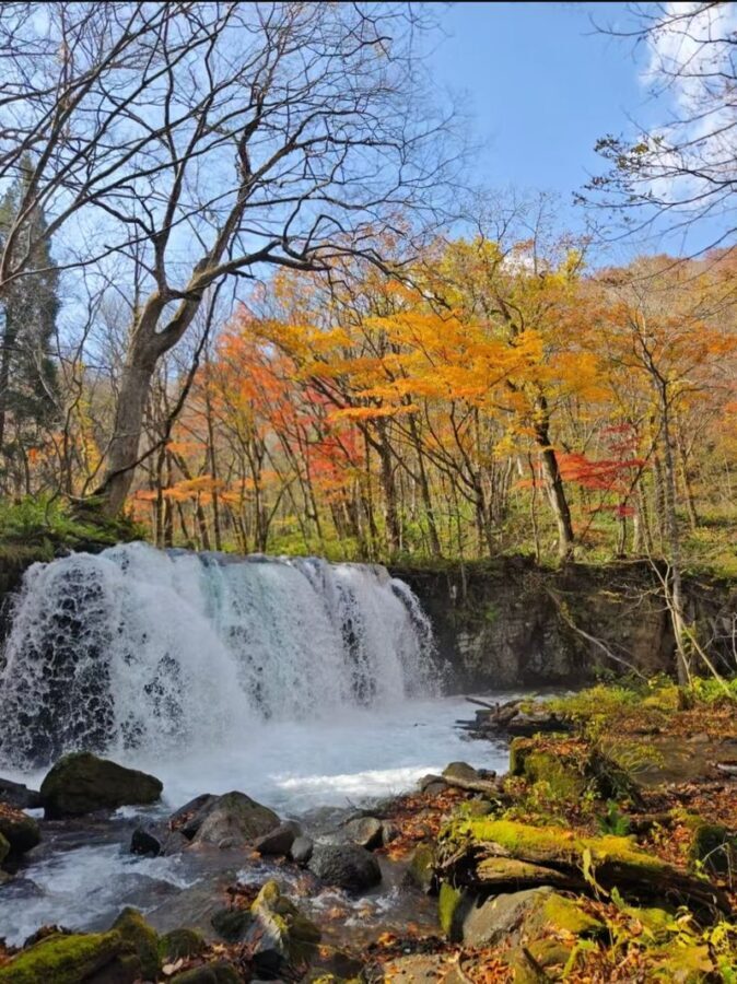 Aomori Oirase Stream & Lake Towada Small Group Tour - A driver-guide who knows the roads