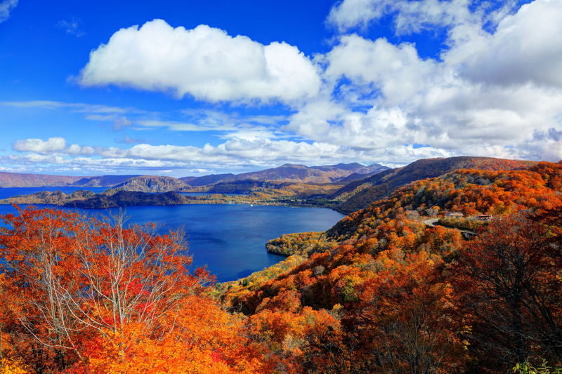 Aomori | Oirase Stream & Shirakami Mountains Private Chartered Day Tour | Customizable Itinerary - Shape the day around a few good stops