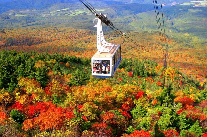 Aomori Small Group Day Tour | Oirase Stream, Hakkoda Mountains, Takayama Inari Shrine, Tanesashi Coast - Hakkoda’s ropeway and the limits of mountain weather
