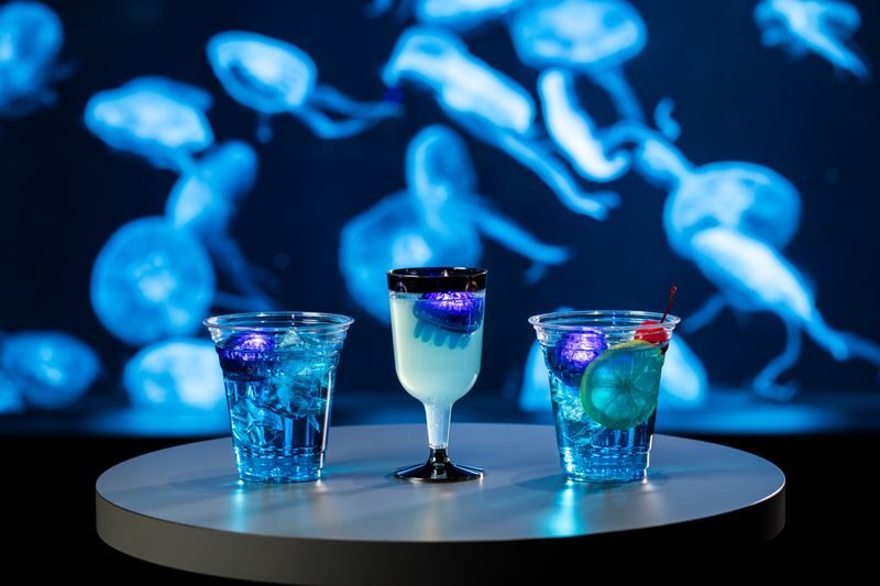 AQUARIUM PARK AOAO SAPPORO (Hokkaido) - What to expect across floors four to six