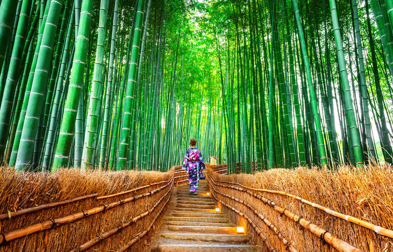 Arashiyama Sagano Train & Hozugawa River Full-Day Cruise - Sagano train views, with a practical comfort caveat
