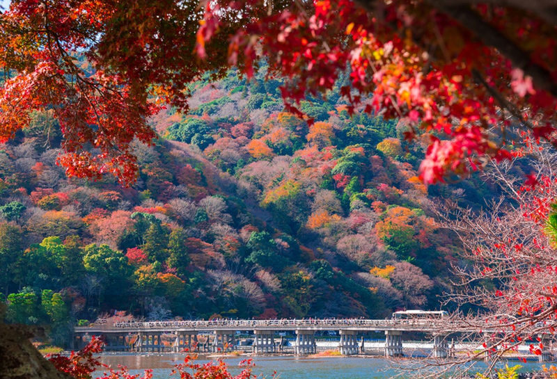 Arashiyama Togetsukyo Bridge & Bamboo Forest Path & Nara Park & Fushimi Inari-taisha Shrine Senbon Torii One-Day Tour (Departing from Osaka) - Arashiyama: 150 minutes among bamboo and old streets