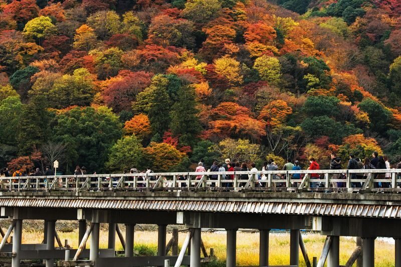 Arashiyama Tour with Optional Sagano Romantic Train Ride - Mikami Shrine and the bamboo path