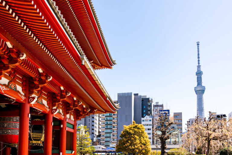 Asakusa, Kappabashi, and Ueno Walking Tour: Experience Tokyos History and Culture in 3 Hours - Hoppy Street and a change of pace