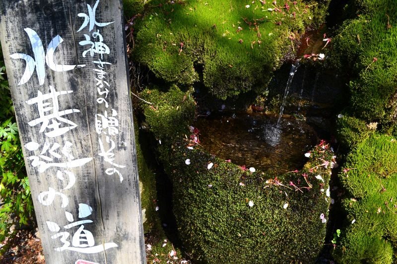 Aso Shrine & Mt. Aso Crater & Kamishikimi Kumanoimasu Shrine Day Trip - Aso Shrine and Monzenmachi’s spring-water streets
