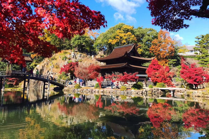 Autumn Leaves Meet Cherry Blossoms | Eihoji Temple & Shikizakura & Korankei Autumn Foliage Day Tour - Eihoji Temple: a calm first stop