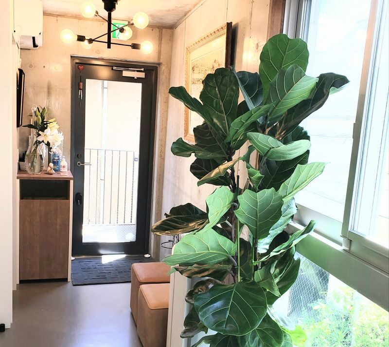 Bello bosco Hair Salon in Jiyugaoka, Tokyo - Consultation before scissors or treatment