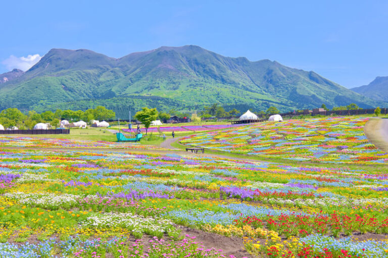 Beppu & Yufuin & Oita Private Car Tour with Driver - Choosing one, three, or six hours