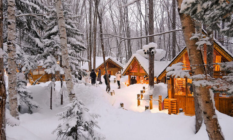 Cantonese and Mandarin/English | Biei Shirogane Blue Pond Illumination + Christmas Tree + White Birch Forest + Ningle Terrace + Shirahige Waterfall | Furano Lunch + Milk Postcard - The long ride from Sapporo