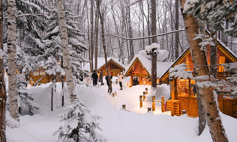 Cantonese and Mandarin/English | Biei Shirogane Blue Pond Illumination + Christmas Tree + White Birch Forest + Ningle Terrace + Shirahige Waterfall | Furano Lunch + Milk Postcard - The long ride from Sapporo
