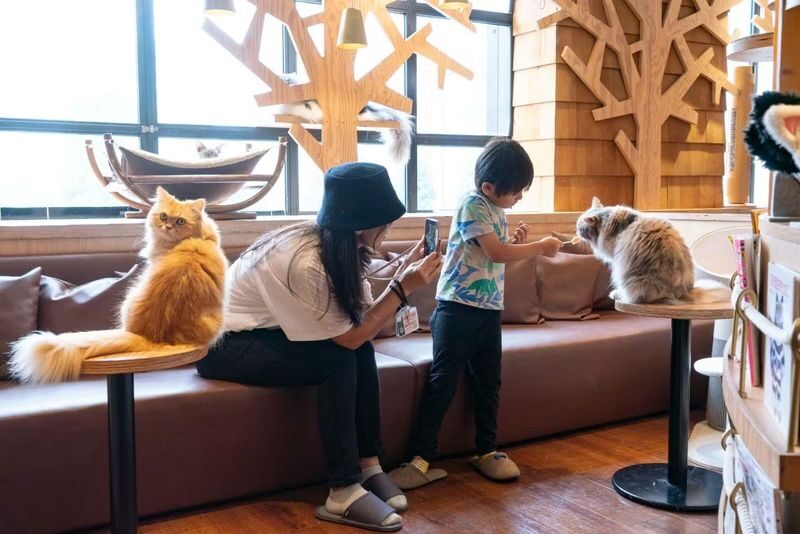 Cat Cafe MOCHA (Ikebukuro Main Store) - Getting to the Ikebukuro Main Store
