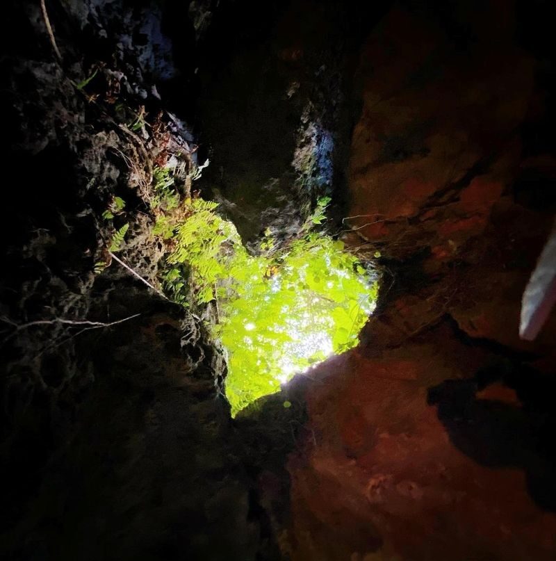 CAVE OKINAWA Admission Ticket in Okinawa - Following the illuminated route