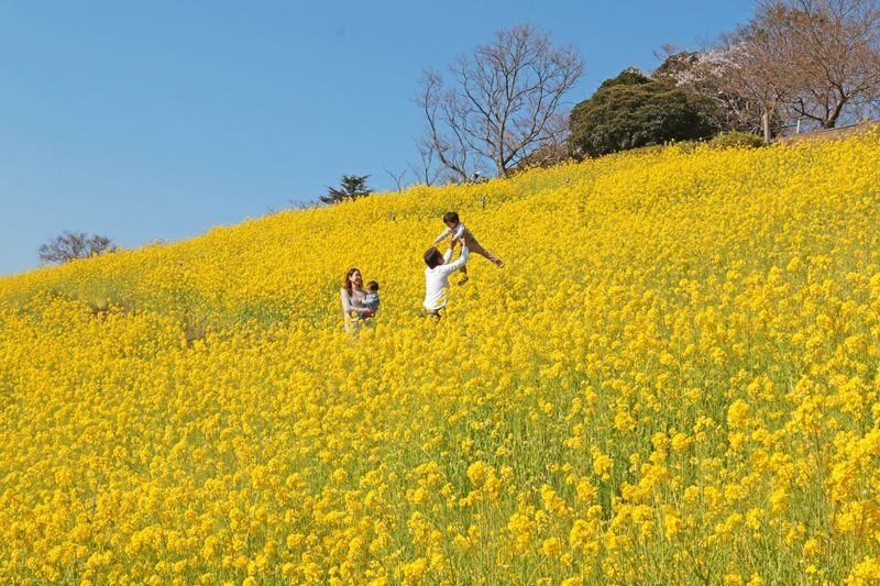 Chiba Mother Farm Ticket Tokyo - A farm that doubles as a small amusement park