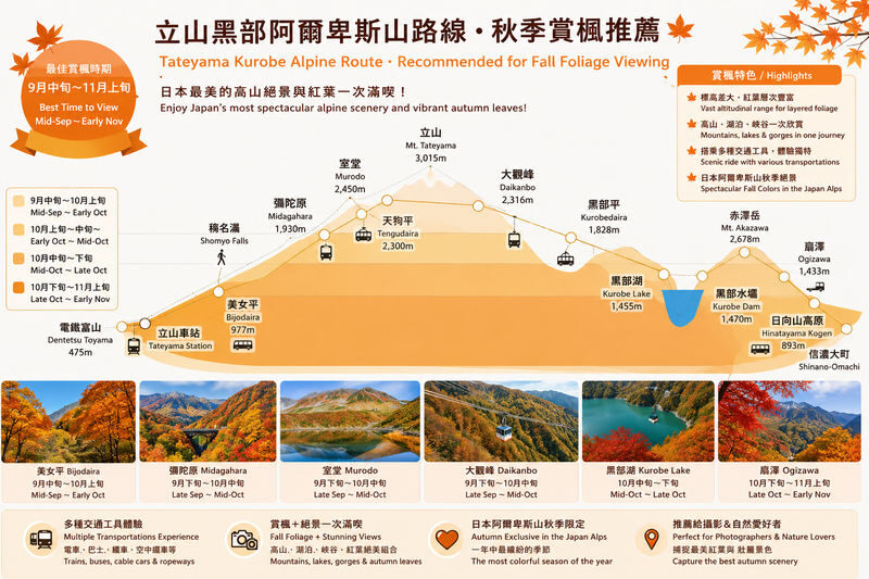 Classic 3-Day Tateyama Kurobe Tour: Tateyama Kurobe & Kamikochi & Shirakawa-go Gassho-zukuri Village & Magome-juku and Tsumago-juku & Daio Wasabi Farm (Departure from Nagoya, Includes Admission Tickets & Accommodation & Tour Leader) - Day two: the Alpine Route’s high mountain crossings
