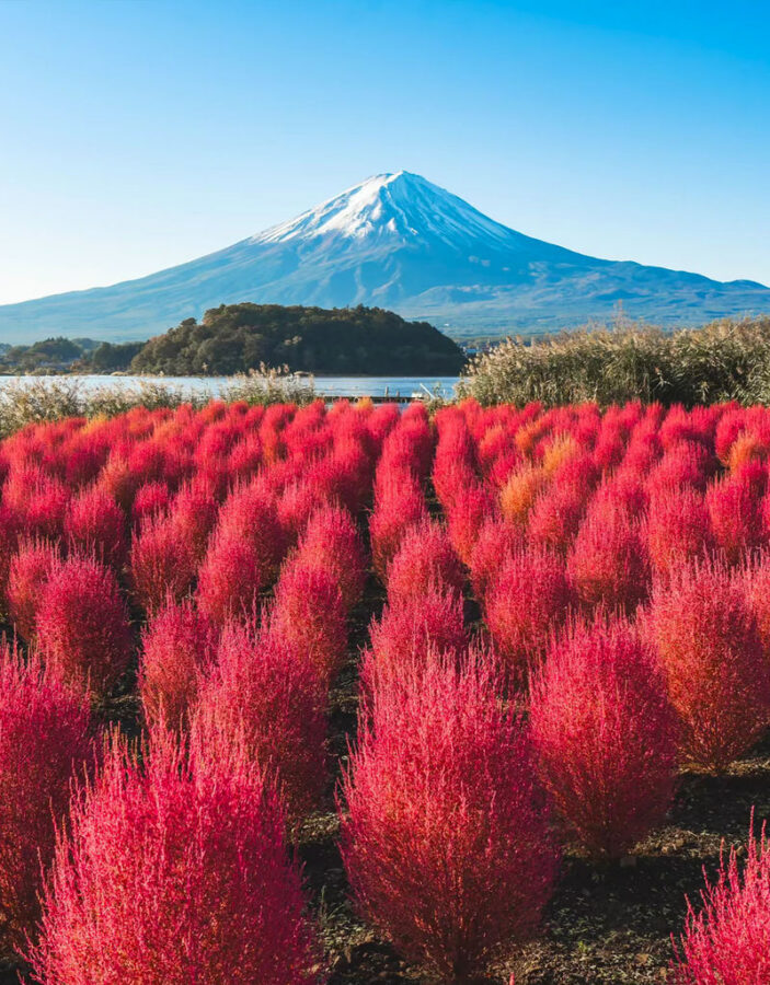 Classic Fuji Flower Viewing Route | Tenjosan Park & Arakurayama Sengen Park & Nichikawa Clock Shop & Lawson Convenience Store & Oishi Park (including cable car ticket) - Tenjo-san: Fuji and lake from above