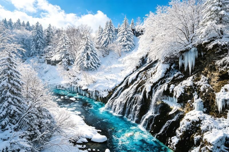Classic Hokkaido One-Day Tour: Asahiyama Zoo & Ken & Mary Tree & Shirahige Waterfall & Biei Shirogane Blue Pond & Ningle Terrace - A brief look at Biei’s Ken and Mary Tree
