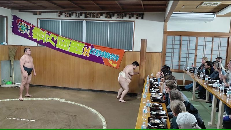 Complete sumo experience in Tokyo - From sumo’s origins to the training routine
