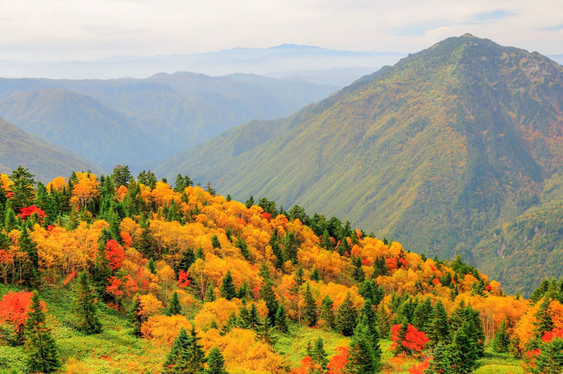 Day Tour fm Takayama: Alpine Splendor Shinhotaka Ropeway & Kamikochi - Starting at Takayama Station