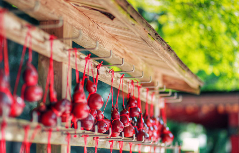 Dazaifu Tenmangu & Yanagawa Full-Day Boat Experience - Dazaifu Tenmangu with a guide beside you