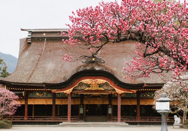 Dazaifu Tenmangu & Yufuin Old Town Full-Day Tour - At Dazaifu Tenmangu, make time for the shrine