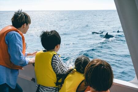Depart from Kumamoto: Amakusa Wild Dolphin Watching and Juicy Burger Set - Lunch at mio camino AMAKUSA