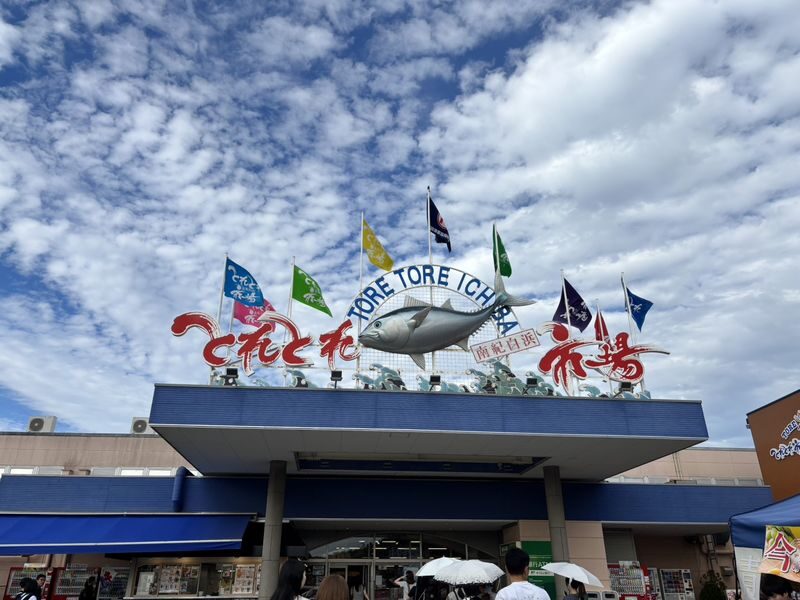 Departing from Osaka Namba: Wakayama Shirahama One-Day Tour: Wakayama Castle-Toretore Market-Shirahama Beach-Sandanbeki Cliffs-Senjojiki - Wakayama Castle gives the day a historical start