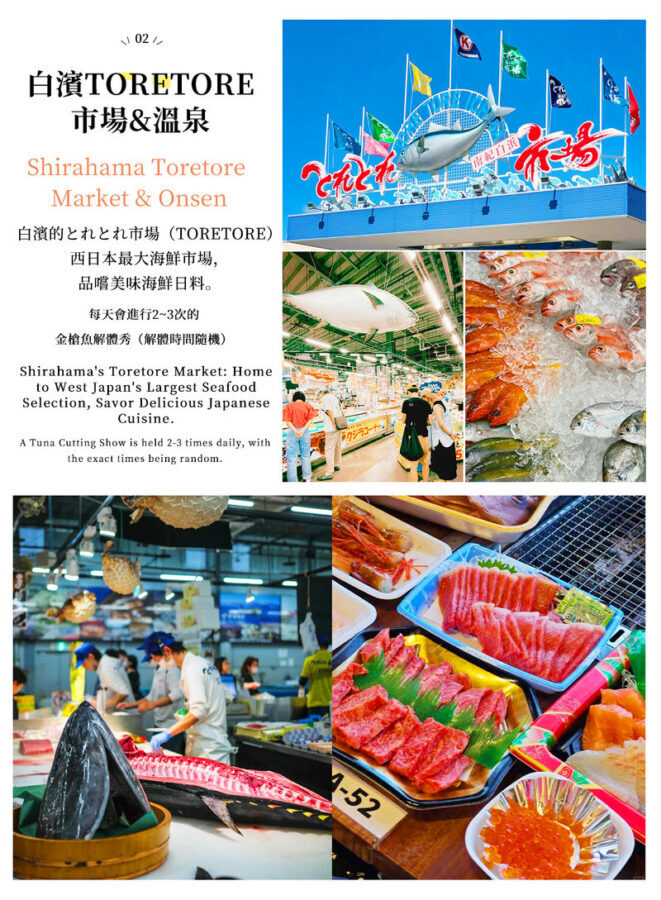(Departing from Osaka) Wakayama Shirahama Day Trip: Cat Stationmaster Kishi Station & Toretore Seafood Market & Senjojiki Coast Scenic View - Toretore Market: lunch, seafood, and local finds