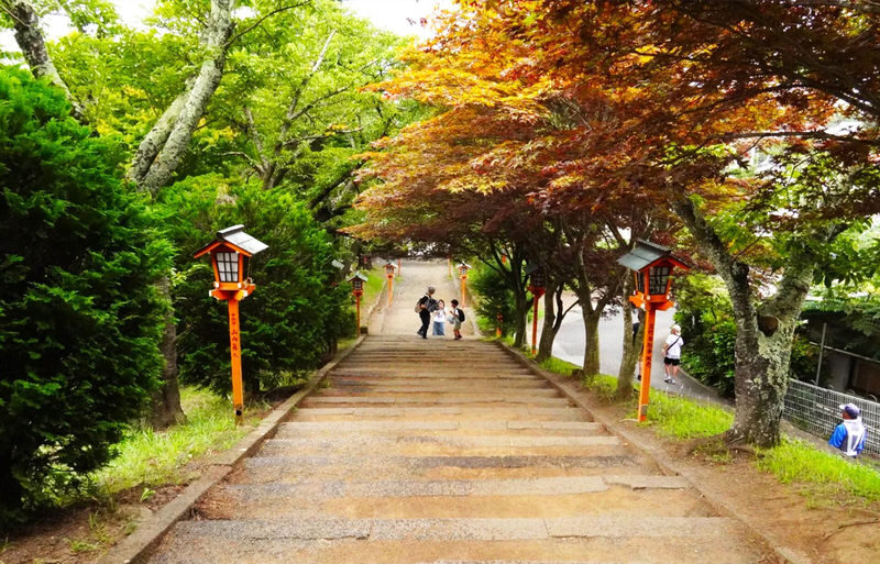 Departing from Tokyo - Mount Fuji Five Major Attractions Small Group Day Tour - Five stops, with Chureito Pagoda on the map
