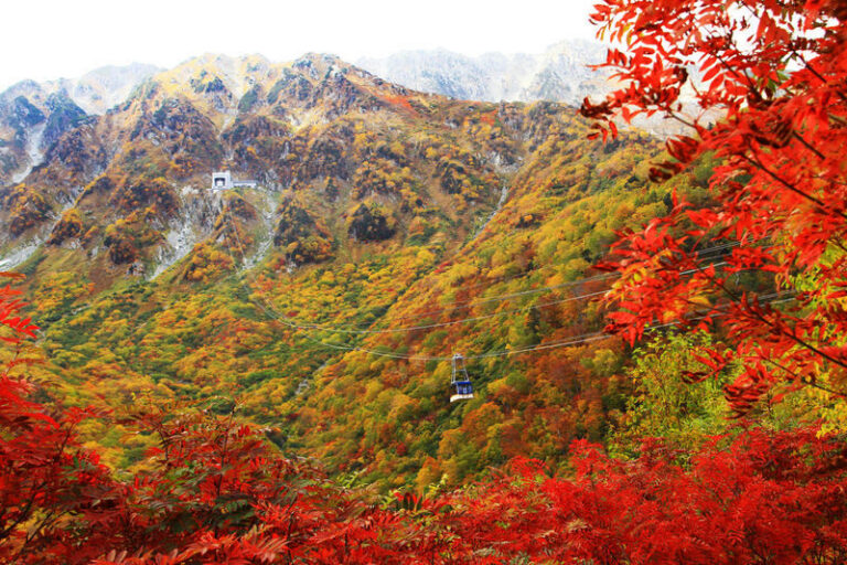 Departure from Tokyo: Tateyama Kurobe 3-Day Tour: Limited-Time Snow Wall Otani & Shirakawa-go Gassho-style Village & Hida-Takayama & Matsumoto Castle (Hot Spring Ryokan Stay) - Day one: Oishi Park, Lake Suwa and Matsumoto Castle