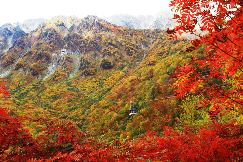 Departure from Tokyo: Tateyama Kurobe 3-Day Tour: Limited-Time Snow Wall Otani & Shirakawa-go Gassho-style Village & Hida-Takayama & Matsumoto Castle (Hot Spring Ryokan Stay) - Day one: Oishi Park, Lake Suwa and Matsumoto Castle