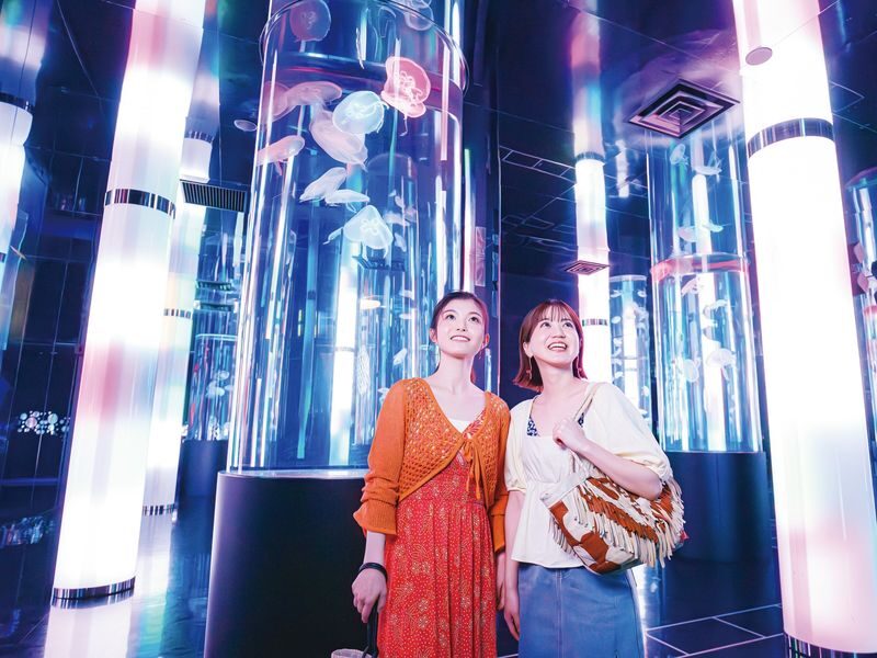 DMM Kariyushi Aquarium Ticket in Okinawa - Start with the animal encounters
